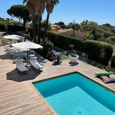Rose Golfe De Saint Tropez * Sainte-Maxime